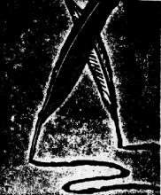 quill graphic quill graphic